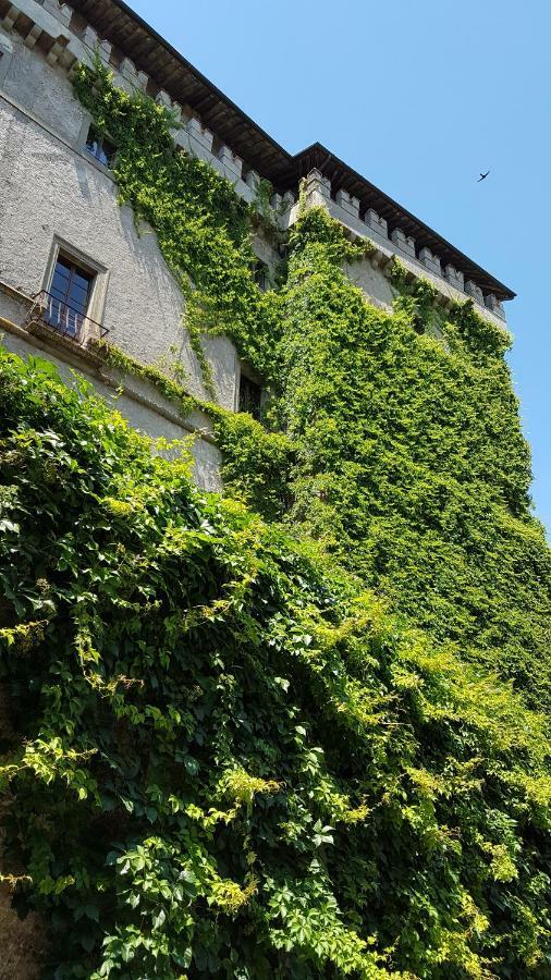 Loft Giuly Διαμέρισμα Vignanello Εξωτερικό φωτογραφία