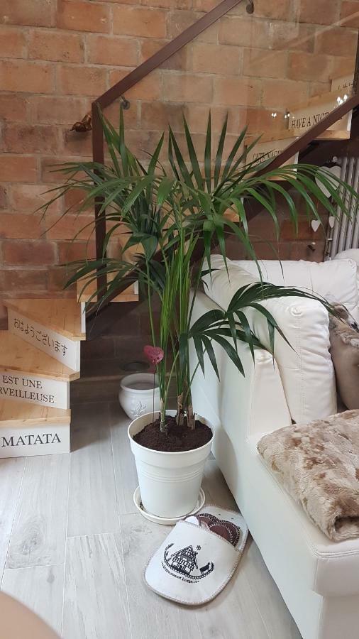 Loft Giuly Διαμέρισμα Vignanello Εξωτερικό φωτογραφία