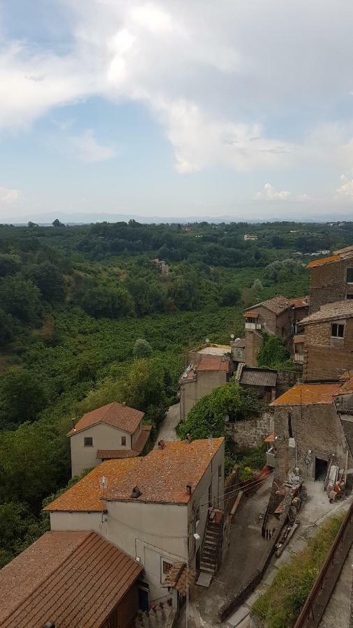 Loft Giuly Διαμέρισμα Vignanello Εξωτερικό φωτογραφία