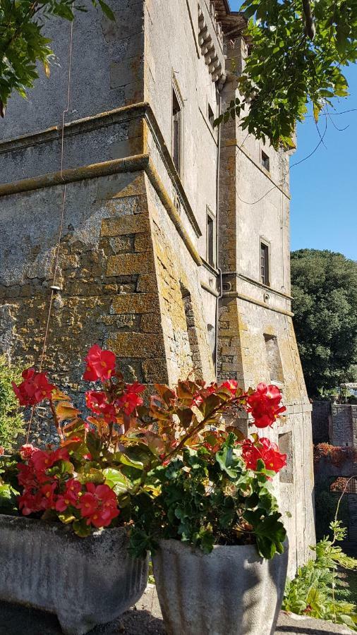 Loft Giuly Διαμέρισμα Vignanello Εξωτερικό φωτογραφία